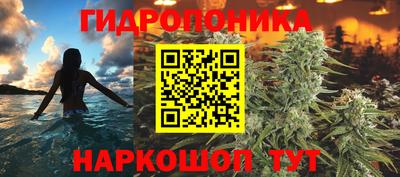 сатива Ангарск