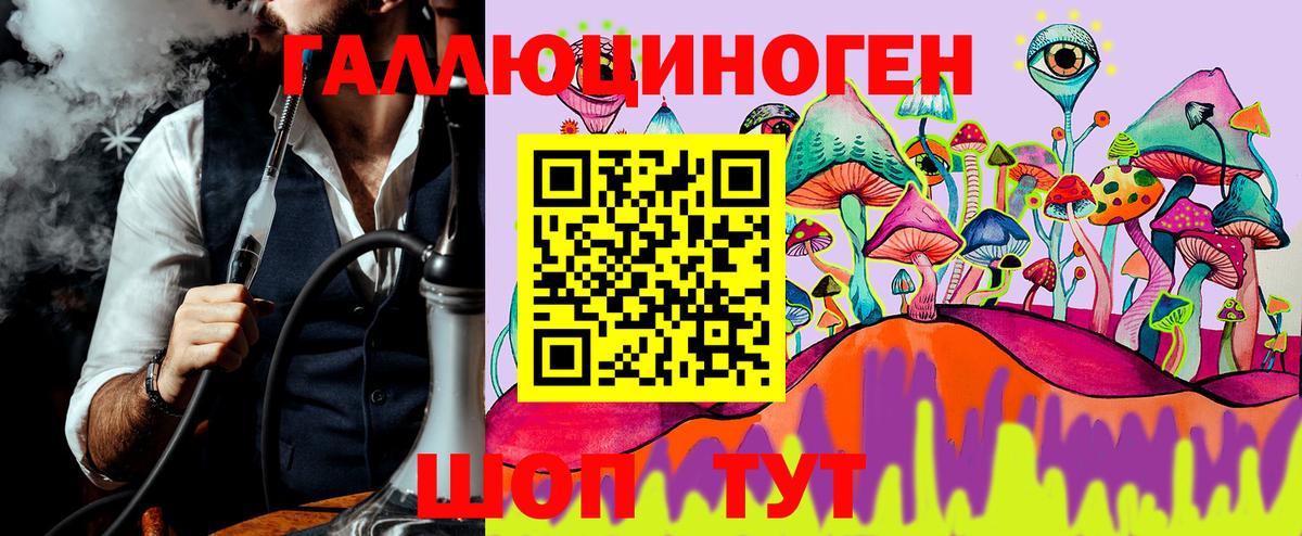 Псилоцибиновые грибы Cubensis Краснокаменск